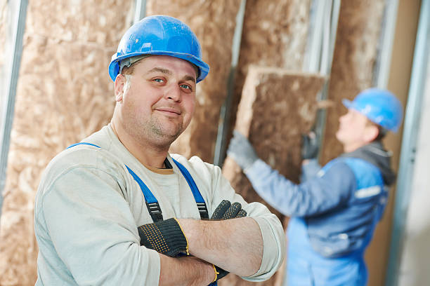 Best Residential Insulation in San Carlos, AZ