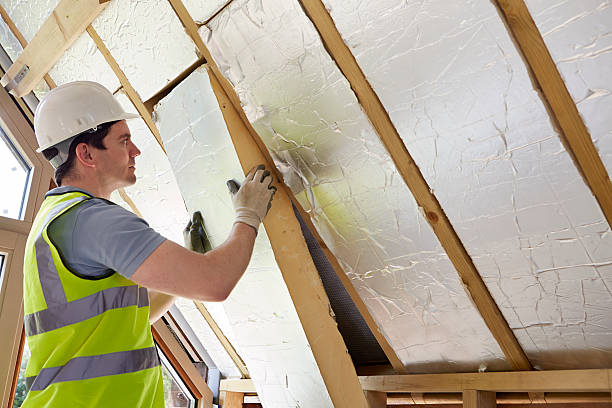 Best Types of Insulation in San Carlos, AZ